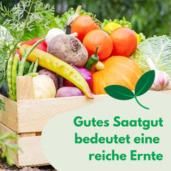 Cosmos Sensation Mix 1g seeds, Cosmos Mix Summer flowers, Garden plants Balcony plants, Flower seeds