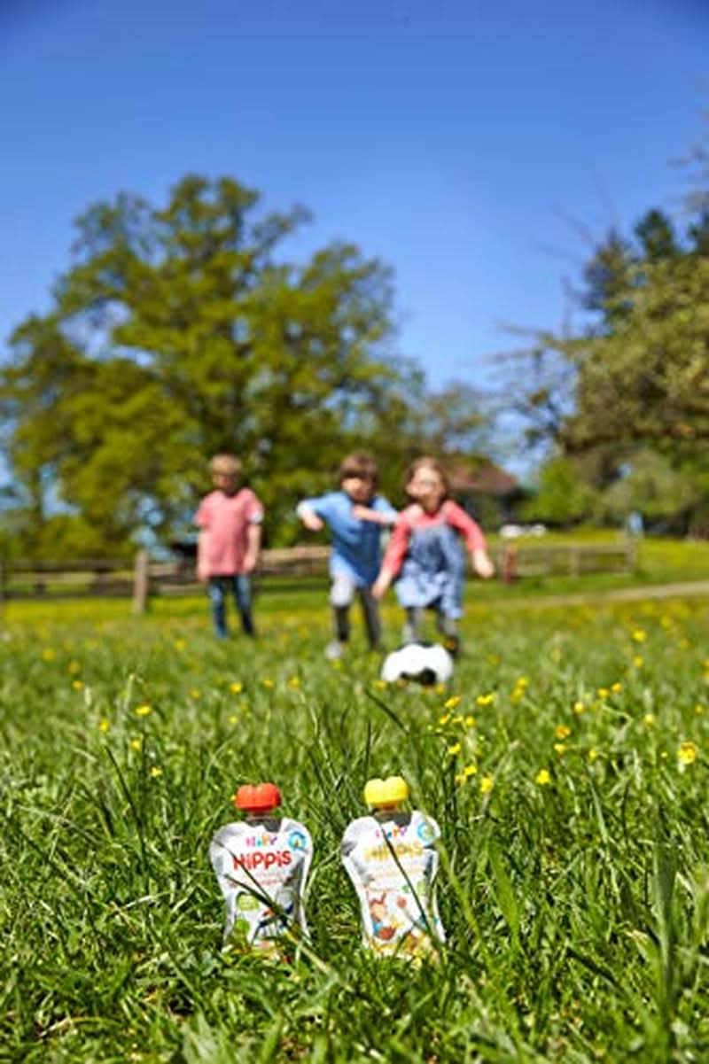 Pungi de stoarcere Hipp Super-Hippis, acerola de rodie in mere-zmeura, fructe 100% bio fara zahar adaugat, 6 pungi de 100 g Mama si Copilul Naty Shop