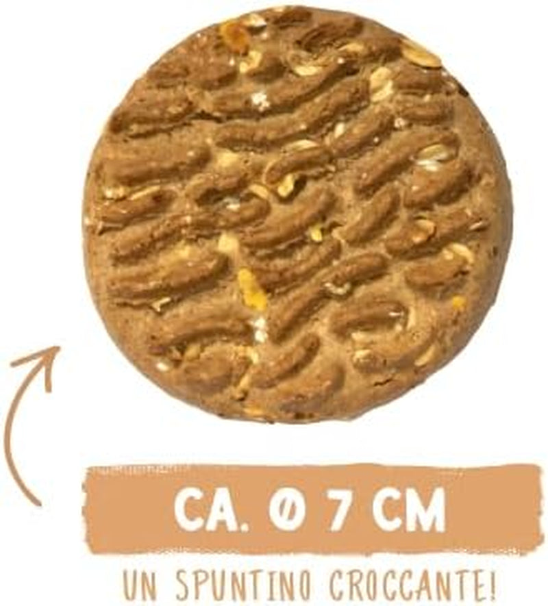 Sammy's Muesli Coins | Crunchy Baked Snacks for Dogs | 5 Grain Muesli Coins for Your Large Furry Friend (30kg+) | 1 kg