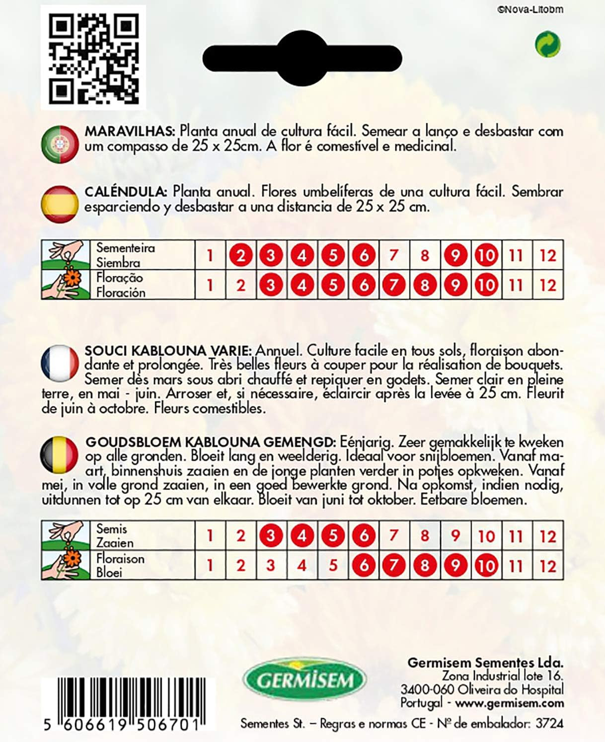 Marigolds, multicolored, EC1507