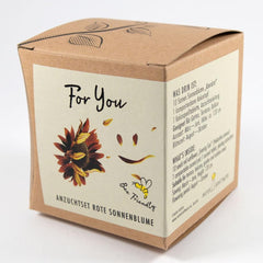 Plant Grow Gift Kit - Sunflower Sunset, including pots, substrate and growing instructions