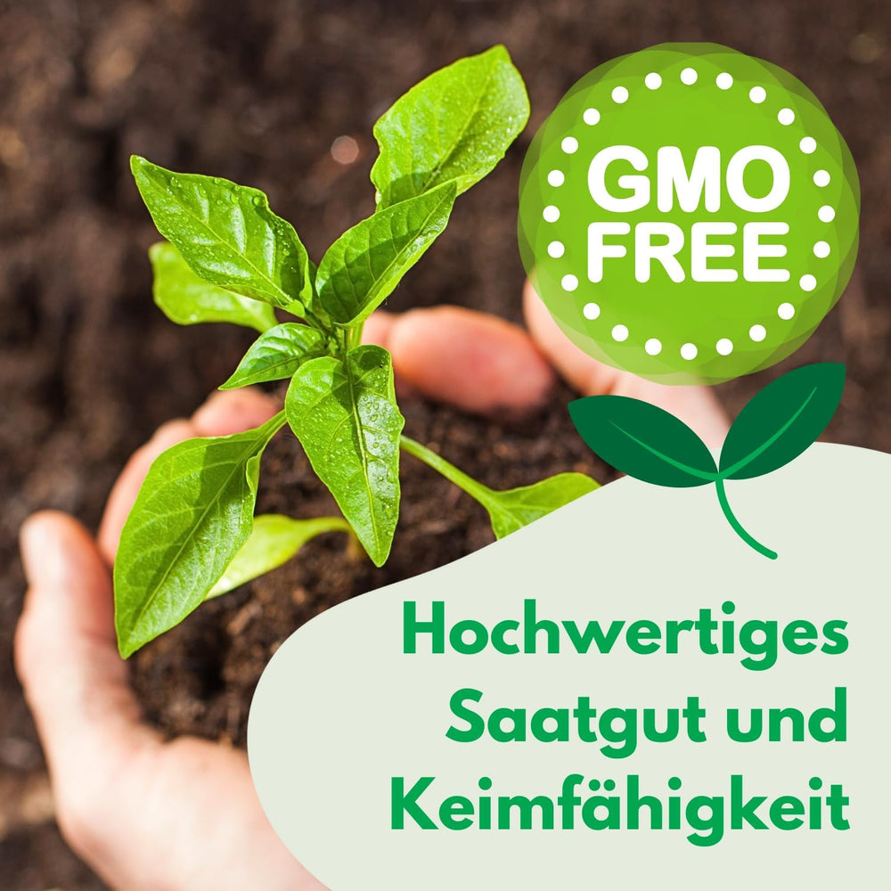 Cosmos Sensation Mix 1g seeds, Cosmos Mix Summer flowers, Garden plants Balcony plants, Flower seeds