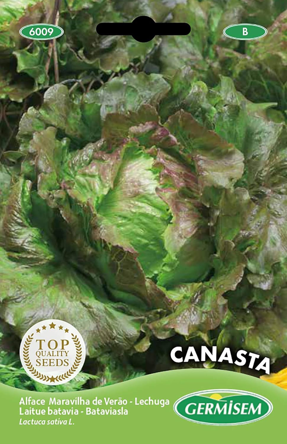 Schnittsalat FRISEE D´AMERIQUE, Mehrfarbig, EC6005