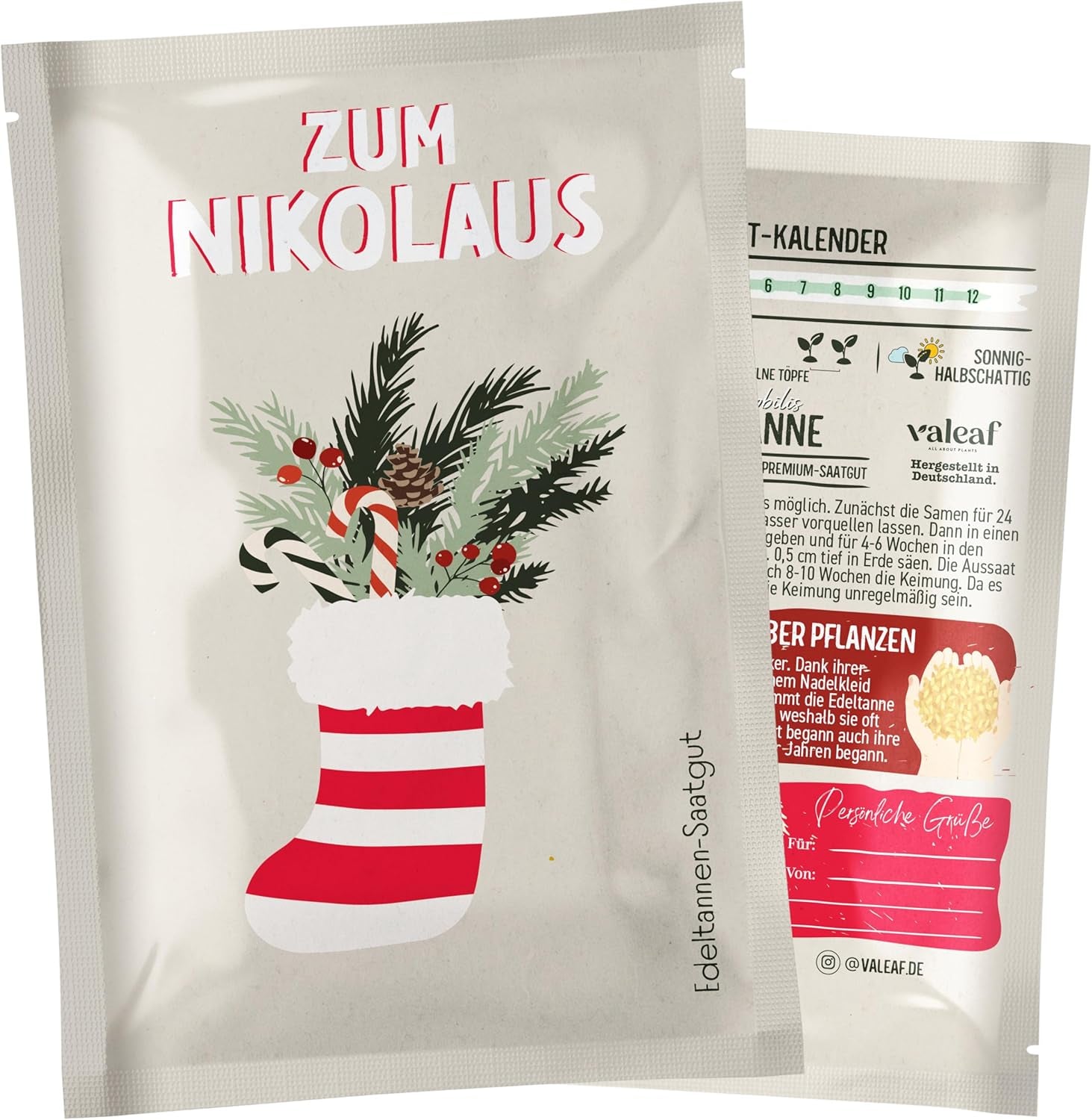 Christmas Tree 2030 - Nordmann Christmas tree seeds for planting a Christmas tree, ideal as a Secret Santa Christmas gift