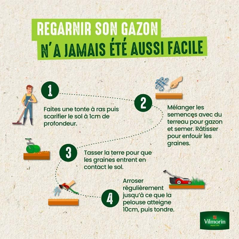 Semences De Gazon 7 Jours - 1 Kg