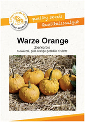 Warze Orange Zierkürbis Von Bobby-Seeds, Portion