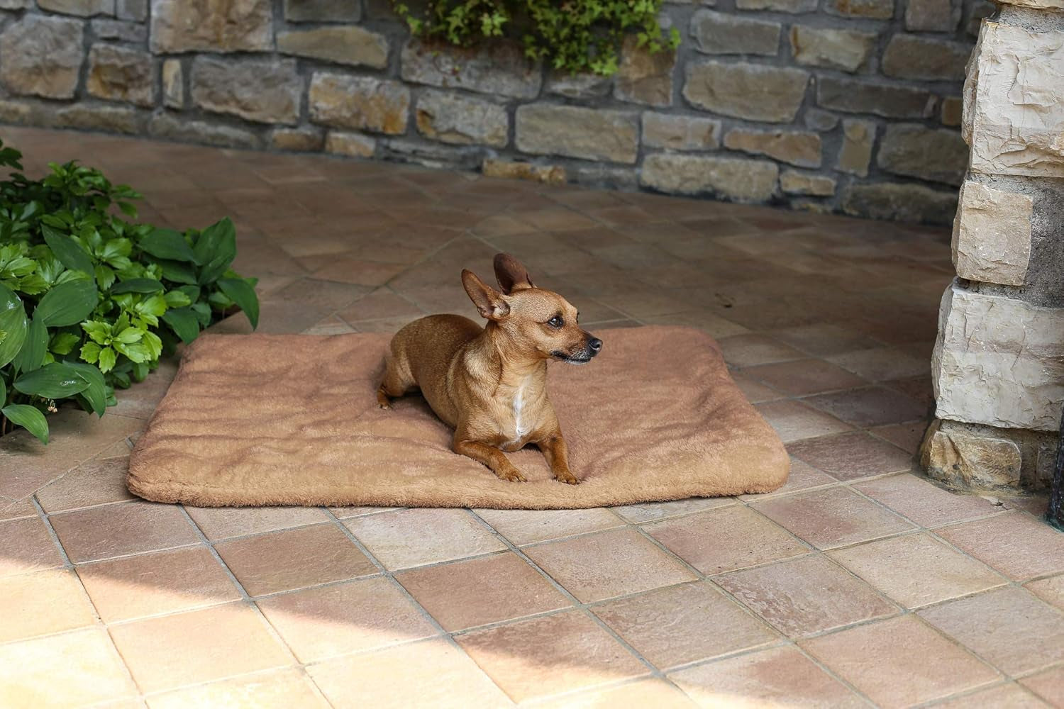 Sogni E Capricci Super Soft Mat, Cream, 104X75CM, Polyester, Blankets and quilts Naty Shop Brown 62X50Cm
