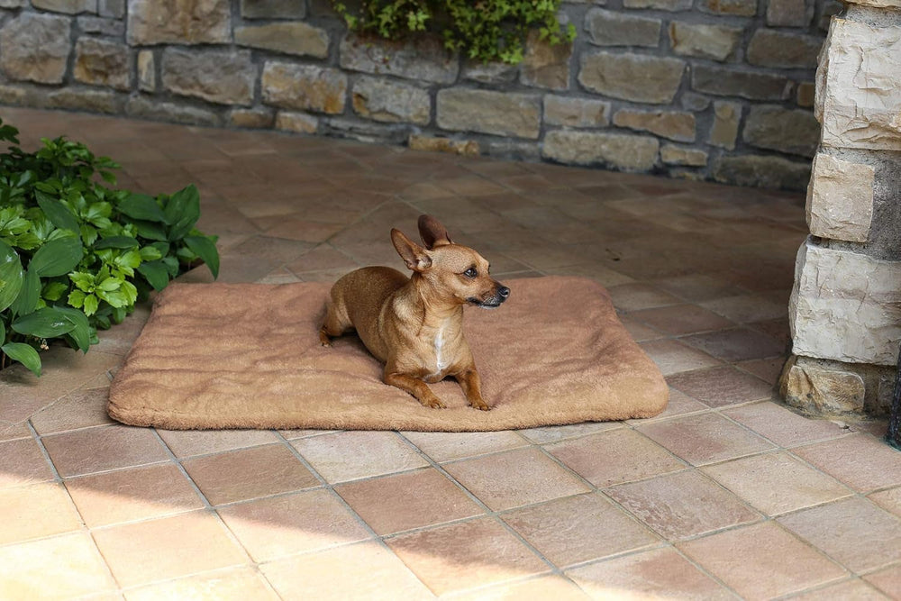 Sogni E Capricci Super Soft Mat, Cream, 104X75CM, Polyester, Blankets and quilts Naty Shop Brown 62X50Cm