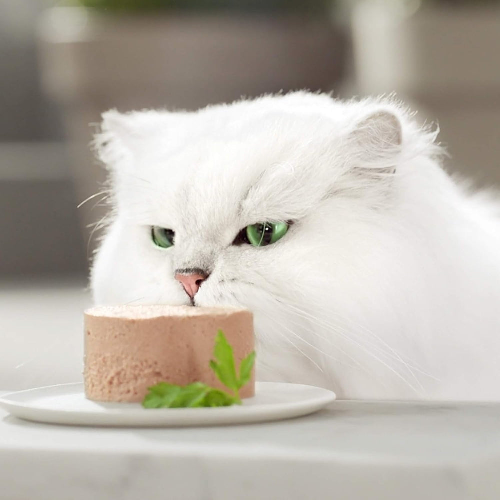 Gourmet Gold Feine Pastete Katzenfutter nass, mit Huhn, 12er Pack (12 x 85g)