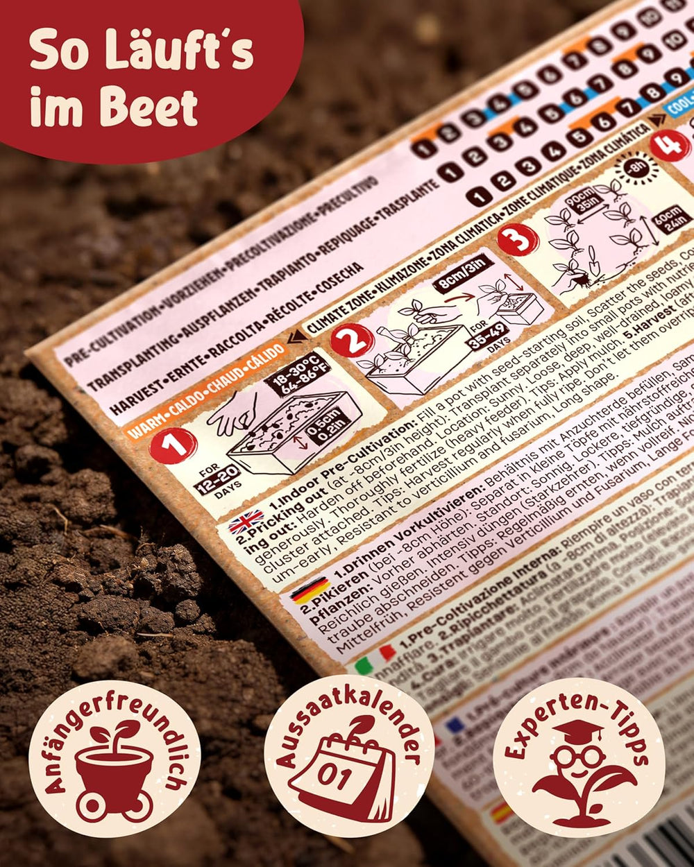 Bio Tomatensamen Im 10Er Set - 10 Tomaten Samen Für Den Einfachen Anbau Im Garten, Balkon Oder Hochbeet - Pflanzensamen - Saatgut