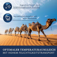 Plapumă Billerbeck E48 Kairo - Plapumă de vară - 135 X 200 Cm - Plapumă răcoritoare - Cu 60% păr de cămilă 40% lână virgină Plapumi si pilote Naty Shop