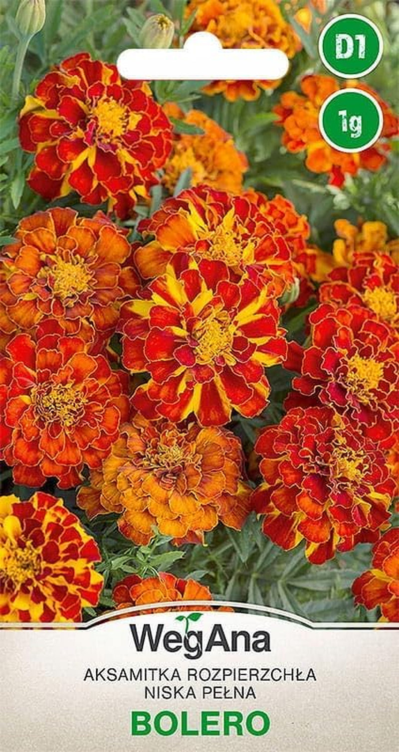 Cosmos Sensation Mix 1g seeds, Cosmos Mix Summer flowers, Garden plants Balcony plants, Flower seeds