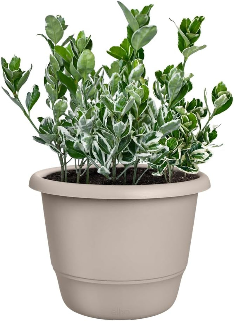 elho Amiga Round 30 - Ghiveci pentru flori pentru interior și exterior - 100% plastic reciclat - Ø 29,5 x H 20,2 cm - Bej/Bej Ciupercă