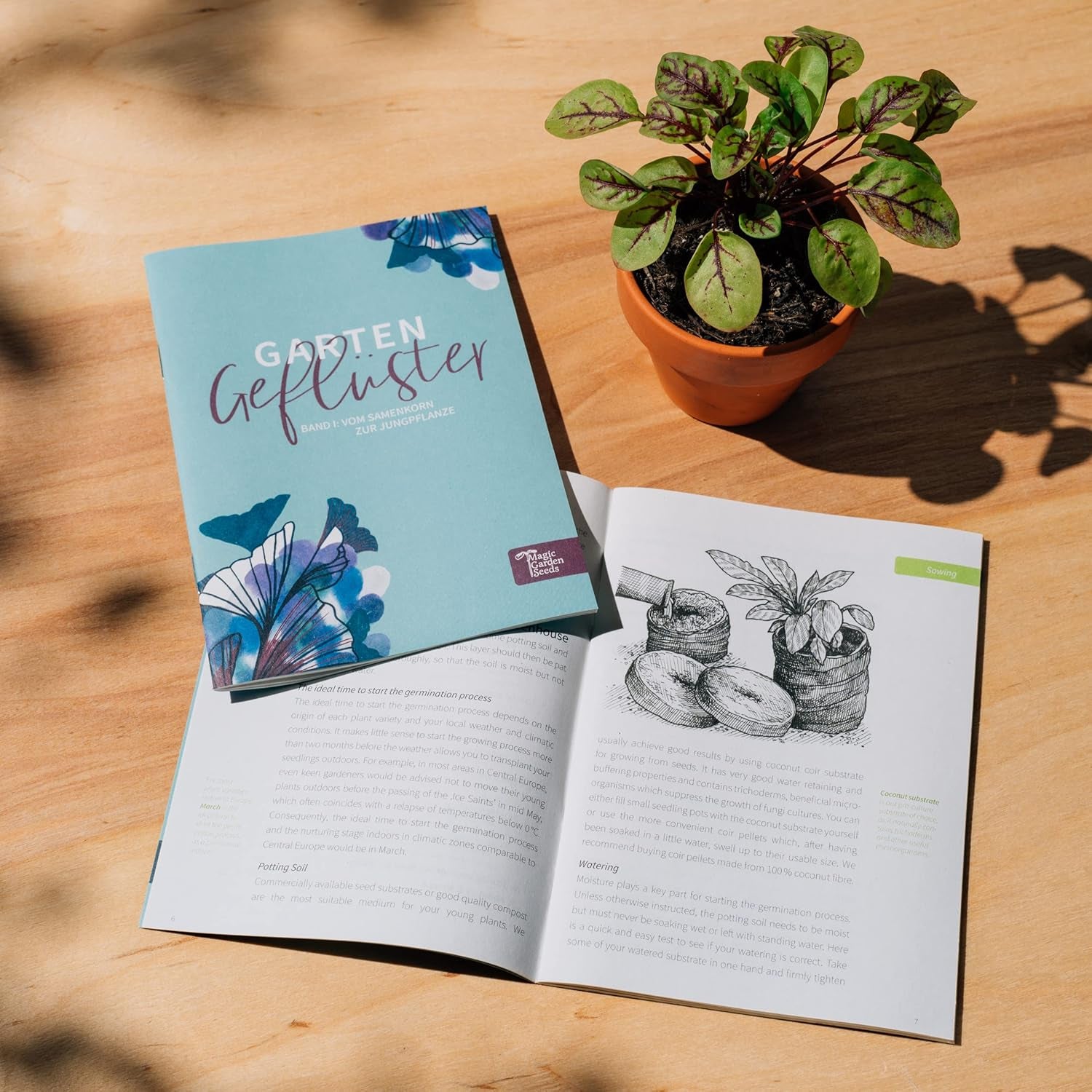 Im Blüten-Rausch (Bio) - Samen-Geschenkset mit 6 wunderschönen Blumensorten für das Blumenbeet im Garten oder denTopf