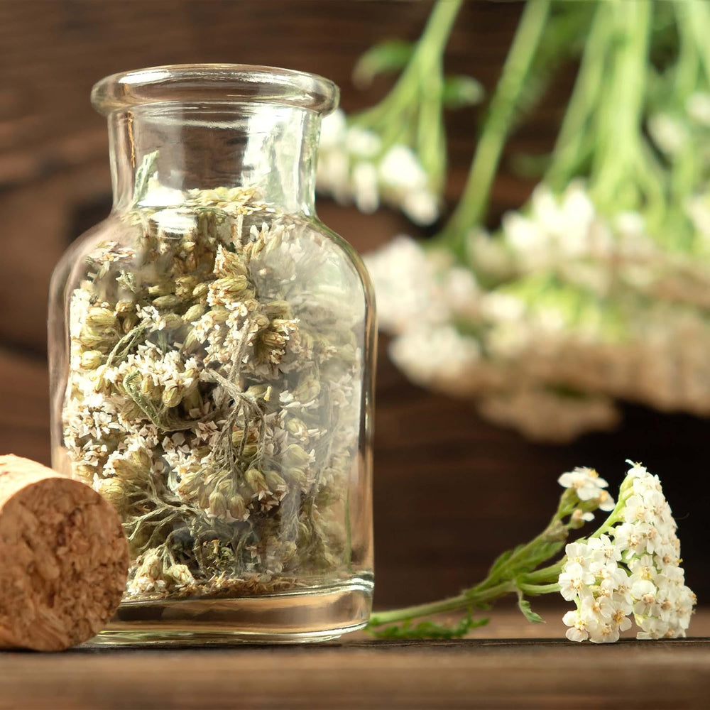 Tea seed set: 8 varieties of seeds for balcony and garden - mint, chamomile, anise, nettle, mallow - plant seeds - tea - tea box - OwnGrown plants