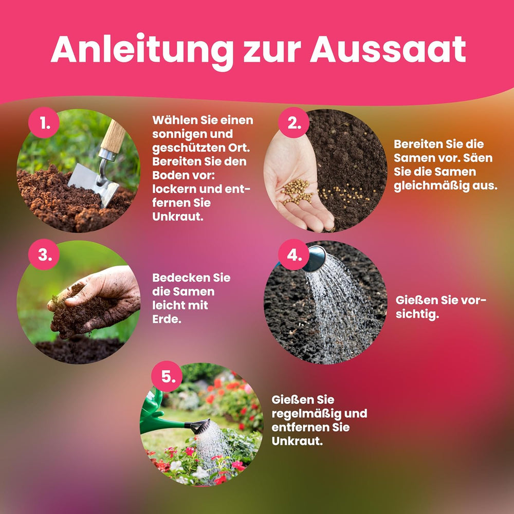 Semințe de flori LERAVA (12 soiuri) - plante perene, rezistente la iarnă - semințe pentru grădină și balcon - germinare rapidă pentru semănat ușor - amestec de flori care necesită întreținere redusă pentru înflorire continuă