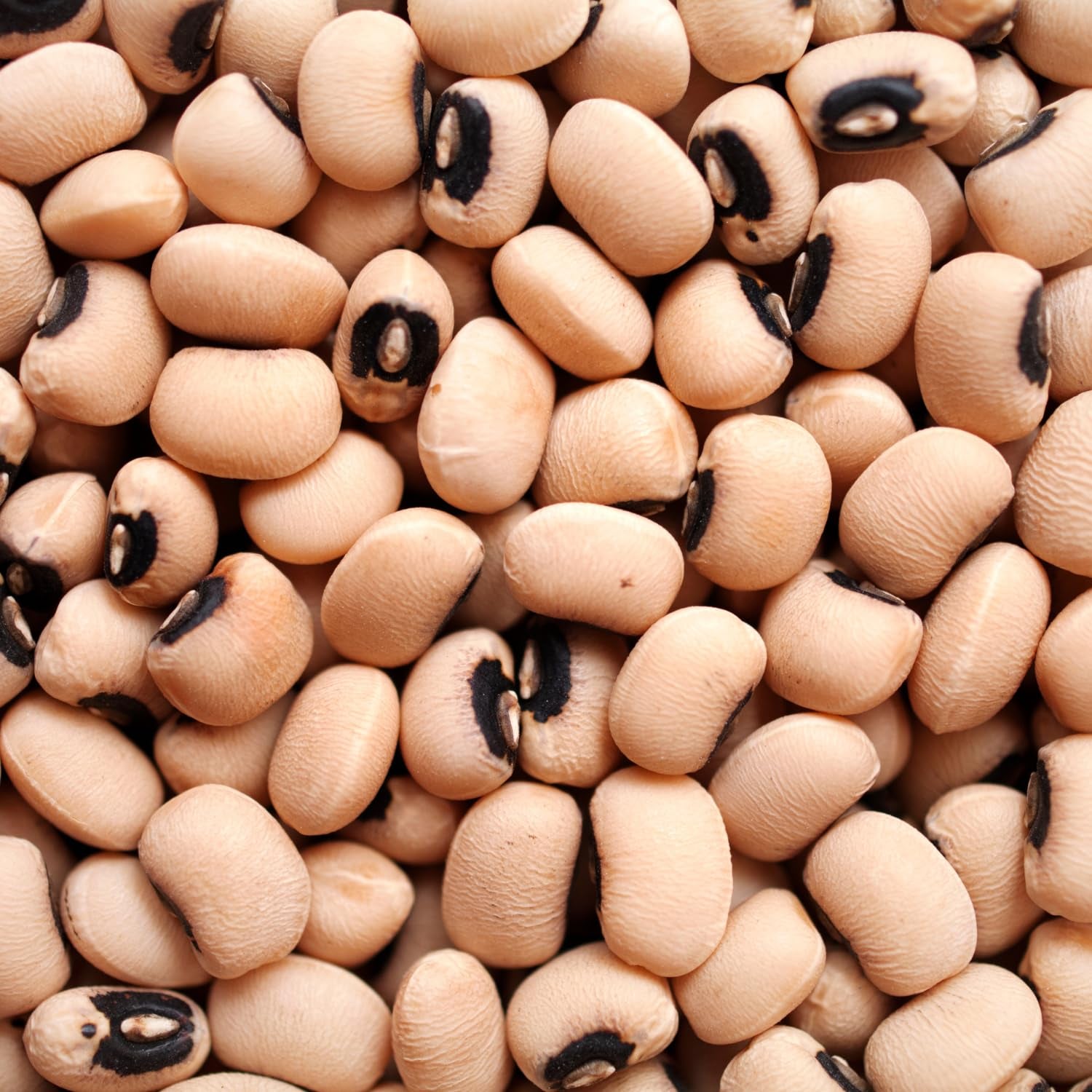 AFROASE - Black-eyed peas - 1 x 1 kg