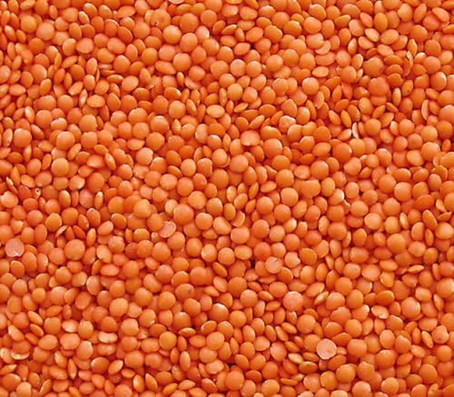 Seba Garden Red Lentils 1kg - Premium Whole Lentils from Canada - Massor Dal, Non-GMO, High in Protein, High in Fiber - All Natural, Vegan, Gluten Free, Ideal for Soups and Curries