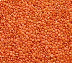 Seba Garden Red Lentils 1kg - Premium Whole Lentils from Canada - Massor Dal, Non-GMO, High in Protein, High in Fiber - All Natural, Vegan, Gluten Free, Ideal for Soups and Curries