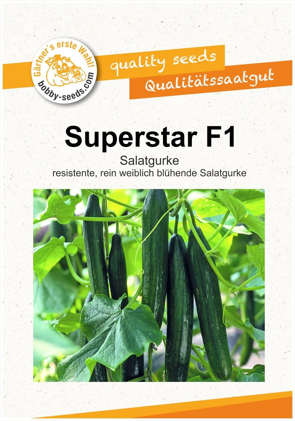 Superstar F1 Gurkensamen Von Bobby-Seeds Portion