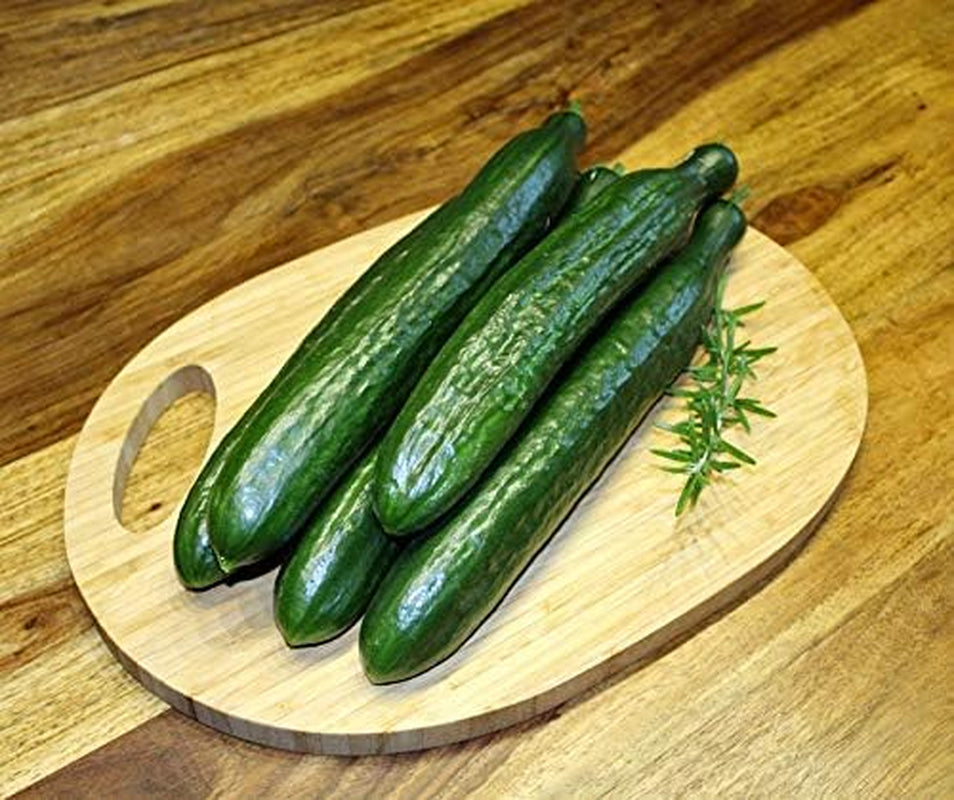Superstar F1 Gurkensamen Von Bobby-Seeds Portion