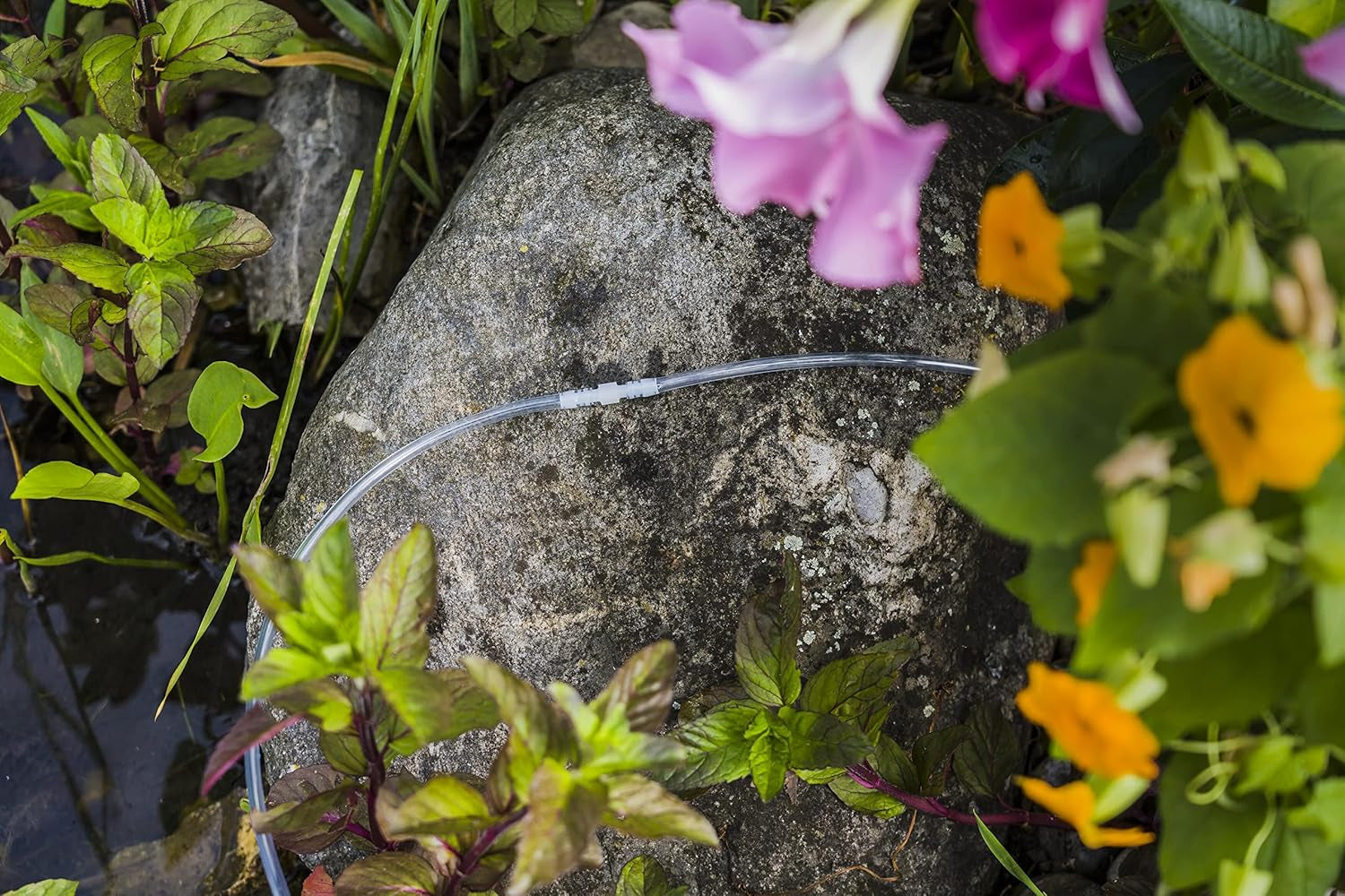 Conector furtun Gardena: Accesoriu din plastic pentru repararea furtunurilor/prelungirea furtunurilor de 10 mm (7293-20)