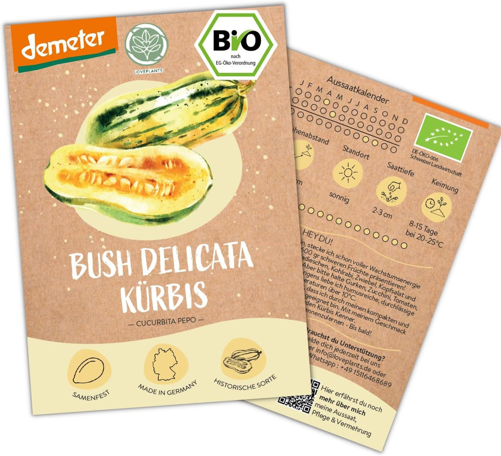 Organic Mini Mexican Cucumber Seeds, 10 Snack Cucumber Seeds, High Germination Rate, Demeter Certified & Open Pollinated | LOVEPLANTS Balcony Garden Raised Bed Vegetable Seeds - Heirloom Vegetable Varieties