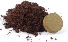 SAFLAX - Heilpflanzen - Echte Goldrute - 100 Samen - Mit Keimfreiem Anzuchtsubstrat - Solidago Virgaurea
