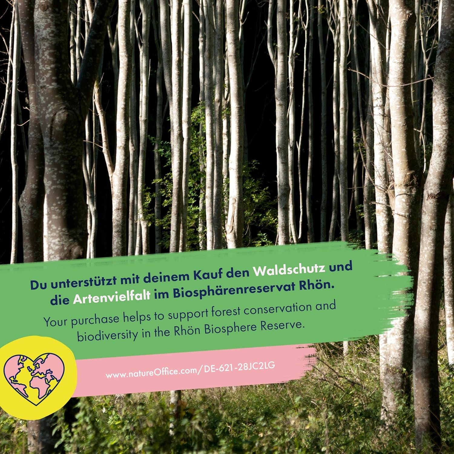 Dried Flowers - 10 Varieties of Free Pollinated Flowers - Everlasting and Beautiful - Seed Set for Beginners, as a Small Gift or for Personal Use