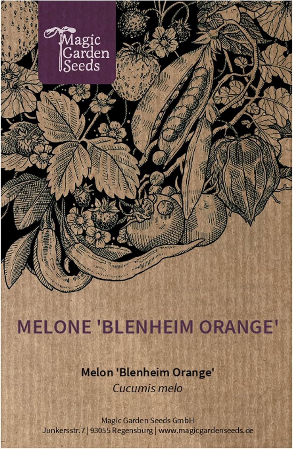 Melone 'Blenheim Orange' (Cucumis Melo) - Ca. 10 Samen