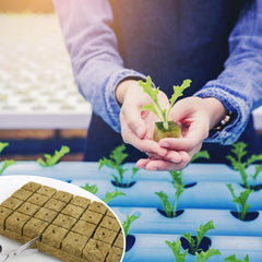 28 Rockwool Cubes, Rockwool Set, Rockwool Growing Mat, Soilless Hydroponic Growing Mat, Rockwool Cube, Rockwool Cubes for Cuttings, Cloning, Propagation 4*4*4cm