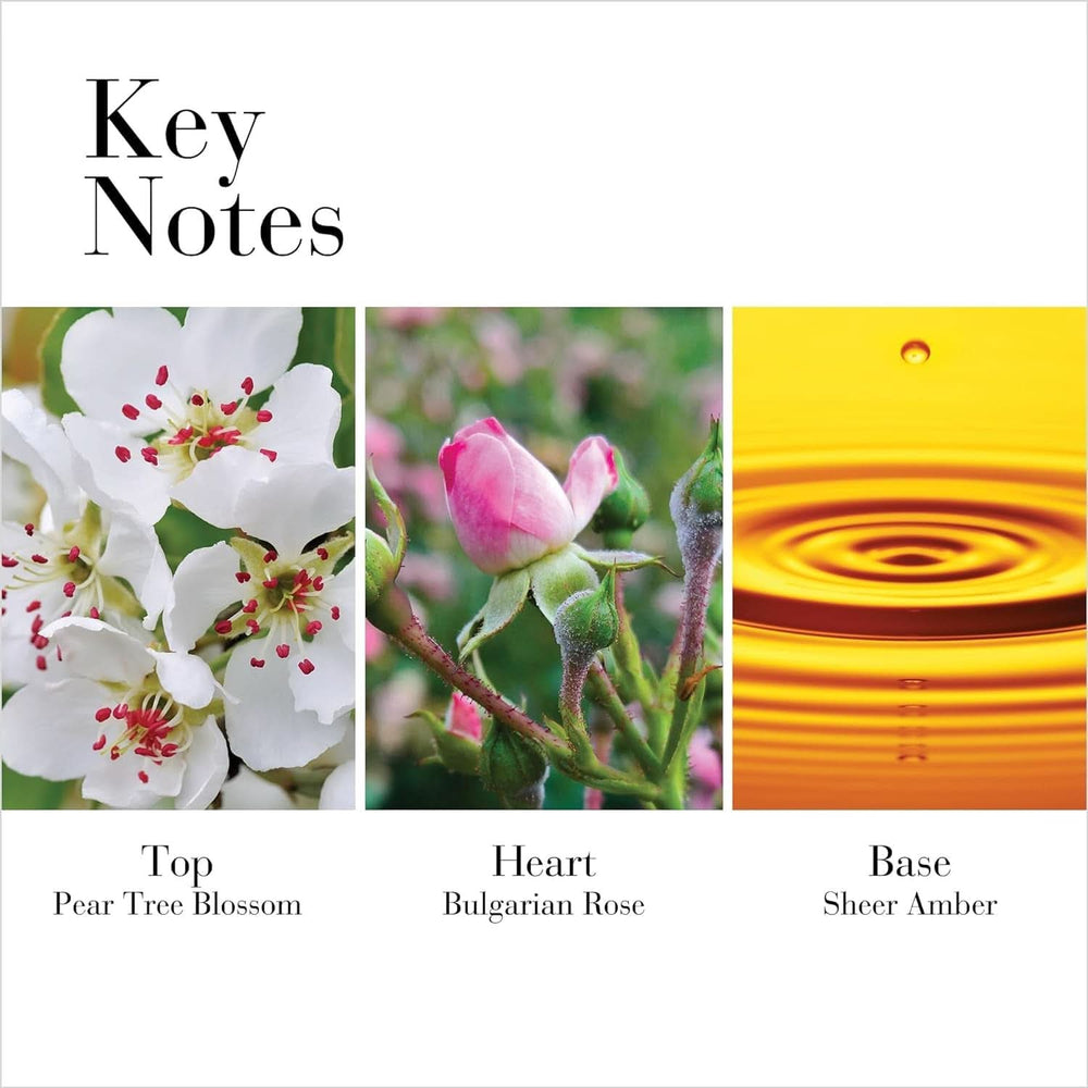 Elizabeth Arden - Wild Rose White Tea, rose body cream for women Cosmetics and Beauty Naty Shop