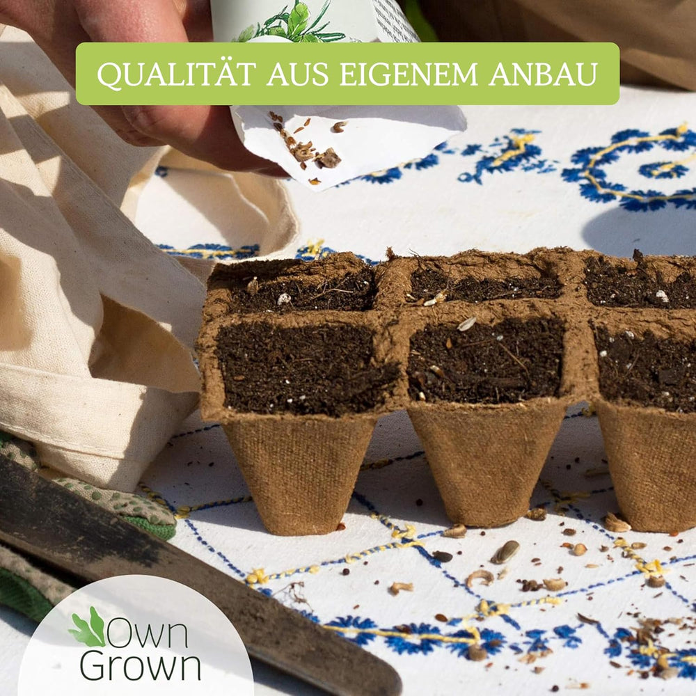 OwnGrown Vegetable Seed Set - 12 Pflanzensemen Sorten für Hochbeet und Garten - Praktische Box mit Gemüsesamen für den Anbau Frischer Ernte zu Hause - Ideal für Gartenliebhaber