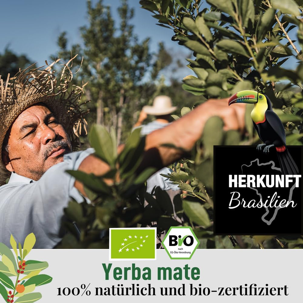 ORIGEENS BIO YERBA MATE cu portocale 200 G - Ceaiul fructat I Ceai organic Yerba Mate neprăjit, fără tulpini și praf I Băutură energizantă și detoxifiantă