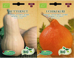 Kürbis BUTTERNUT, ECBIO4002 & Kürbis UCHIKI KURI, ECBIO4007
