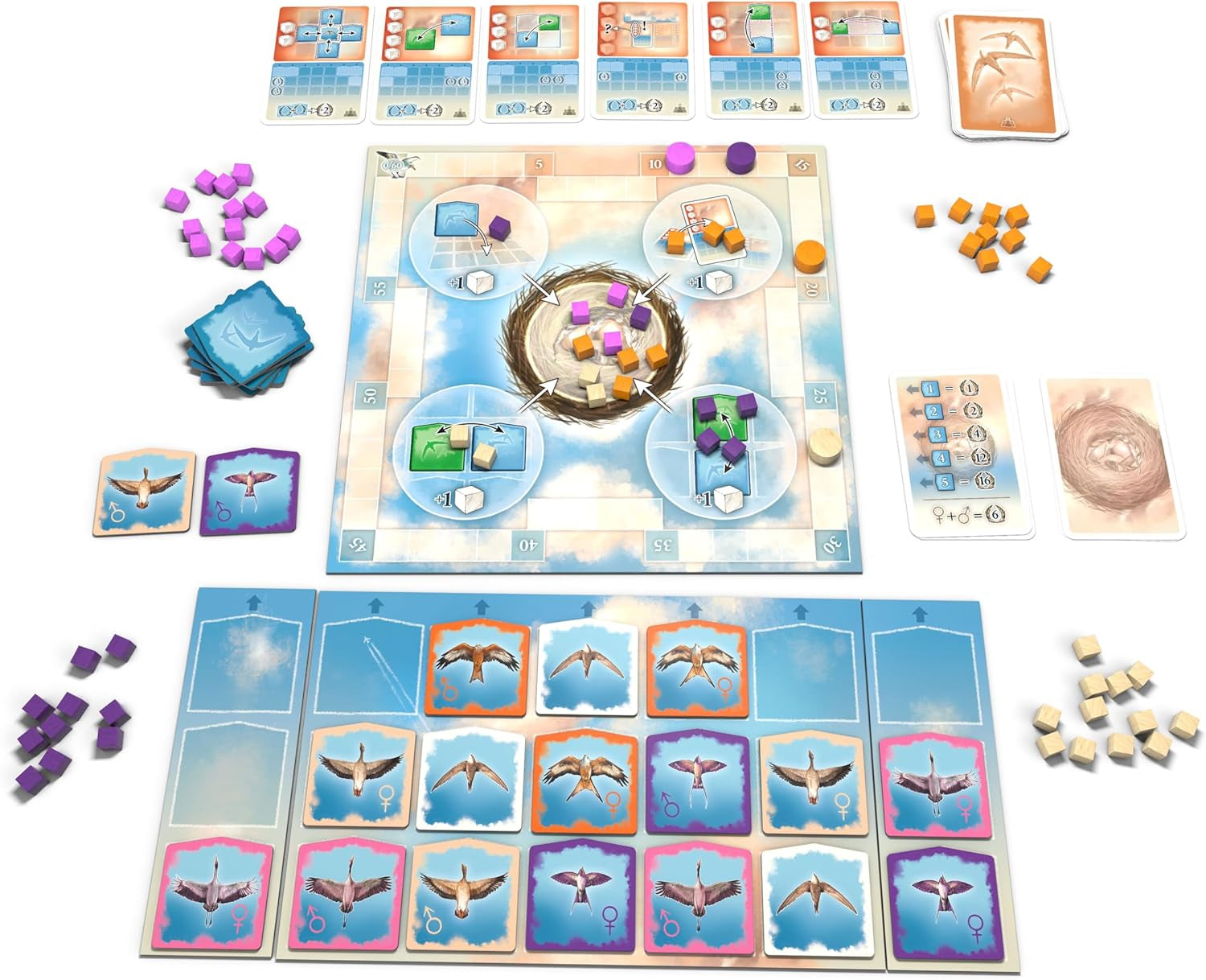 Zoch Above the Clouds - a strategic migratory bird race with maneuver cards, interesting flight formations, smart timing, a board game for strategy enthusiasts and families, children and adults aged 10 and up
