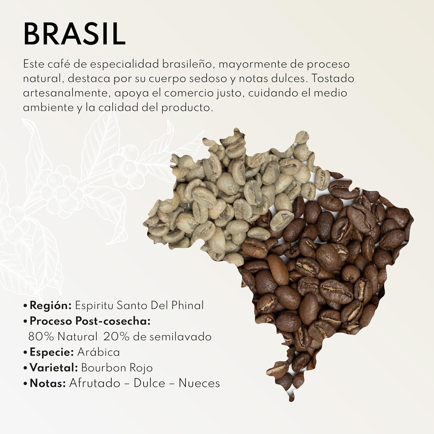 Boabe de cafea speciale Boconó, Brazilia, 1 kg, Proces natural, Cafea din cereale, Arabica, Espresso, Presă franceză, Trasabilitate completă