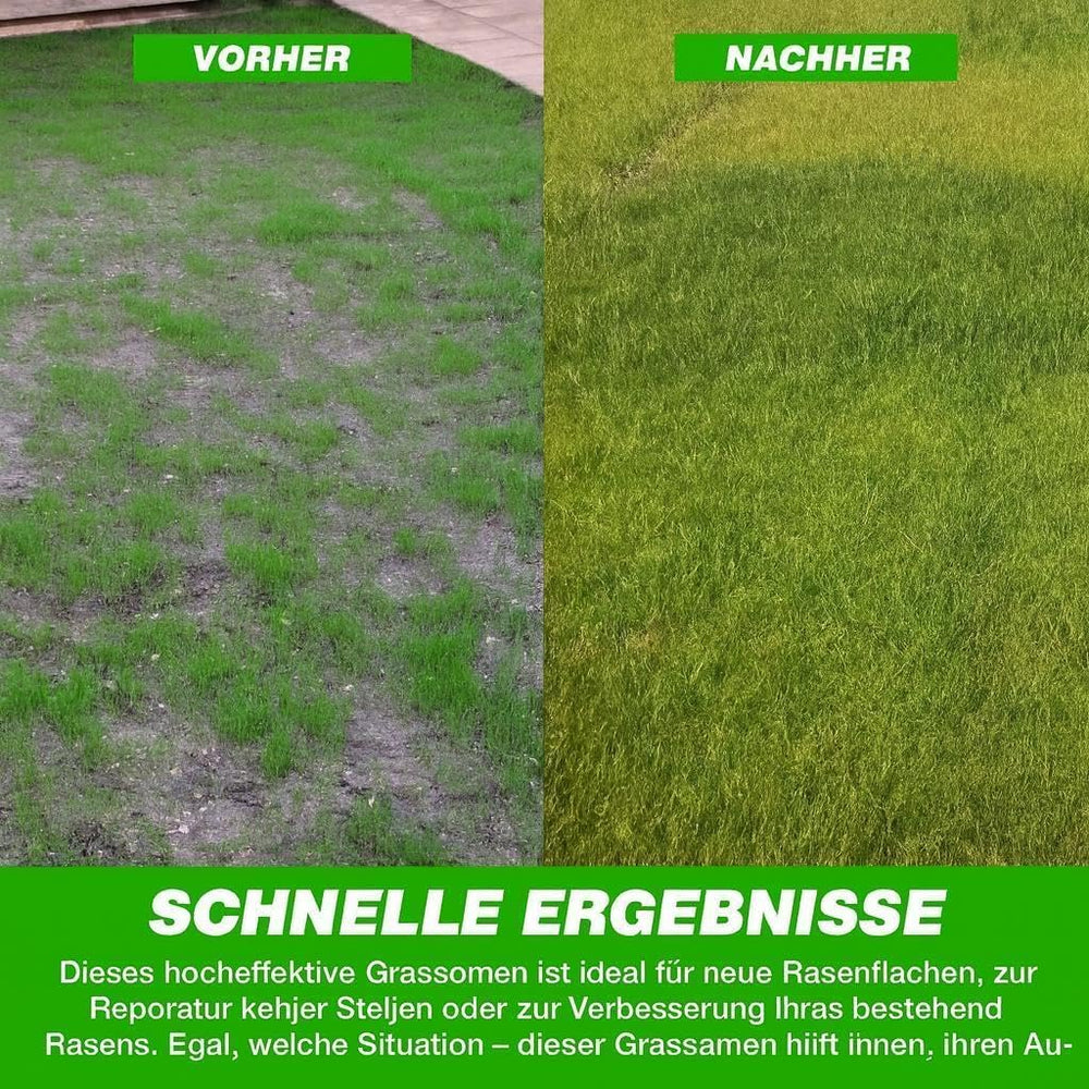 Allzweck-Rasensamen Schnellkeimend – Strapazierfähige, Schnellwachsende Garten-, Spiel- Und Sportrasensamen, Trockenresistent, Ideal Als Neu-Rasensaat Oder Als Reparatur-Rasennachsaat