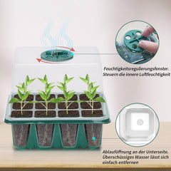 Indoor Greenhouse Propagation Tray 2 Piece Mini Greenhouse Propagation Set with Raised Lid Seedling Starter with Full Spectrum Plant Lights Trays Greenhouse Plant Propagation Tray