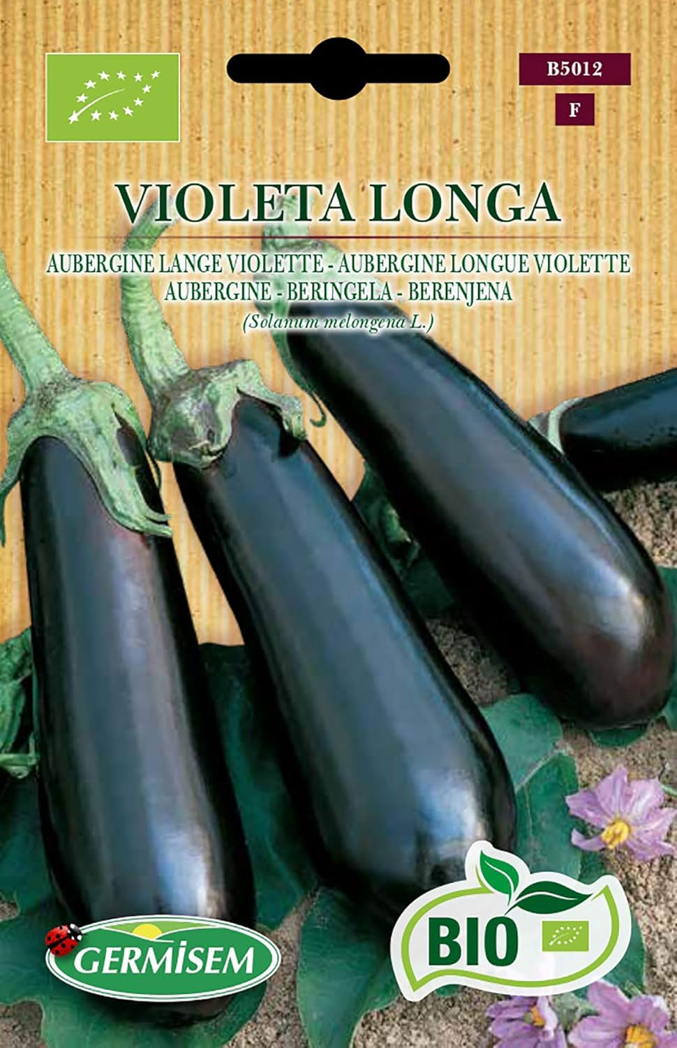 Aubergine VIOLETA LONGA, ECBIO5012
