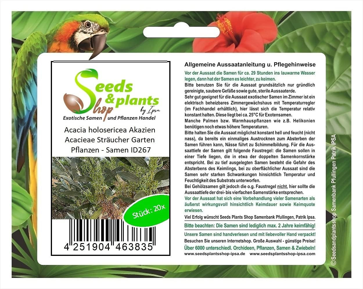 Stk - 20X Acacia Holosericea Akazien Acacieae Sträucher Garten Pflanzen - Samen ID267 -