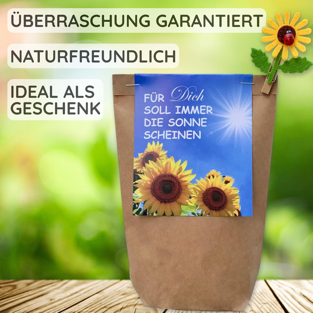 Gift for Women - May the Sun Always Shine for You - Sunflower Growing Kit, Gift Idea Surprise Bag, Planting Kit