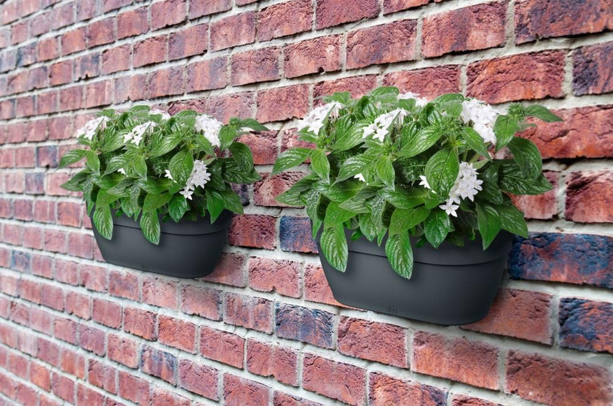 elho Vibia Campana Jardinieră de perete 35 - Jardinieră pentru balcon și utilizare în exterior - Ø 35,0 x H 14,8 cm - Negru/Antracit