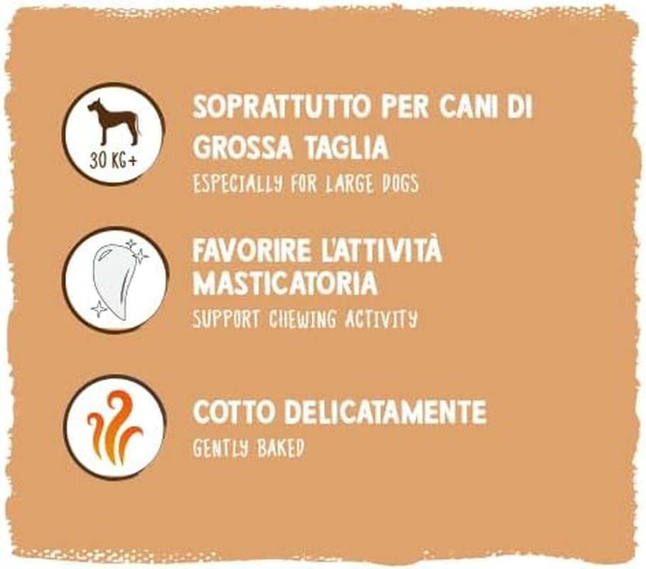 Sammy's Muesli Coins | Crunchy Baked Snacks for Dogs | 5 Grain Muesli Coins for Your Large Furry Friend (30kg+) | 1 kg