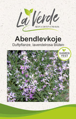 Evening primrose seeds