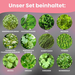 LERAVA Kräutersamen Set – 12 Sorten: Basilikum Samen, Parsilie Samen, Koriander, Oregano & mehr – Saatgut für frische Kräuter im Garten oder Topf, Premium Samen für Küche & Balkon - Samen set, seeds