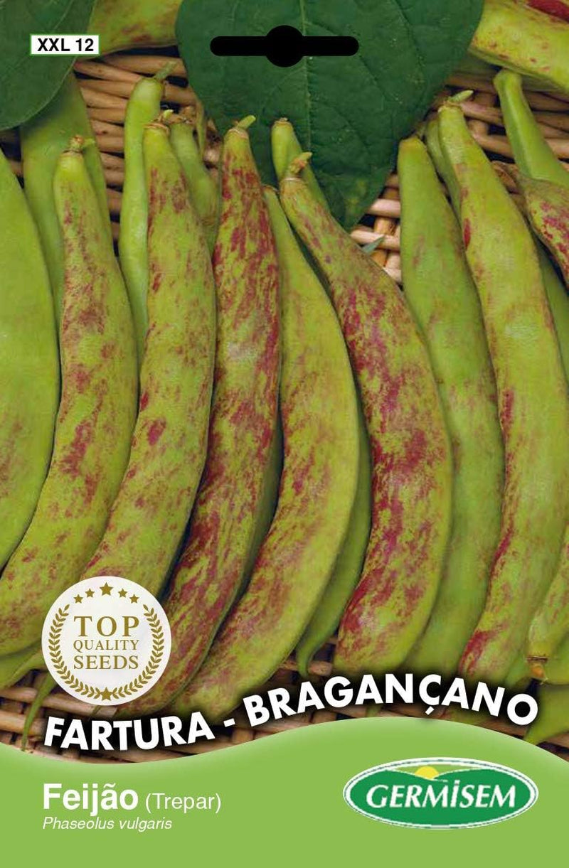 Stangenbohnen BRAGANÇANO, Mehrfarbig, XXL 12