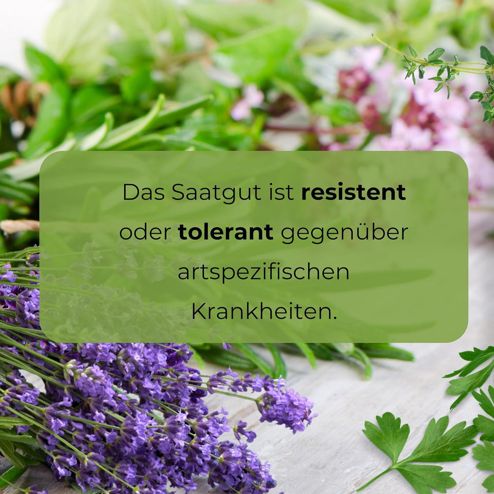 Cosmos Sensation Mix 1g seeds, Cosmos Mix Summer flowers, Garden plants Balcony plants, Flower seeds