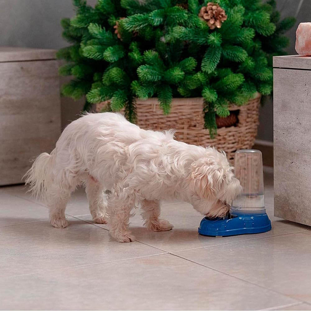 Ferplast Futter- oder Wasserspender für Hunde und Katzen AZIMUT 600 Futtertrog Water 0.6 Liter, Rutschfester Boden, 12.5 x 19 x H 19.5 cm Blue