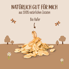 Allos Bio Haferdrink Barista | Milchalternative aus Hafer | Schaumbarer Drink auf Pflanzenbasis | Perfect for coffee Vegan, lactose-free Drink | 1 Liter (6 Pieces)